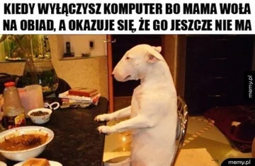 Dzień wolny? Internauci odpowiadają memami 