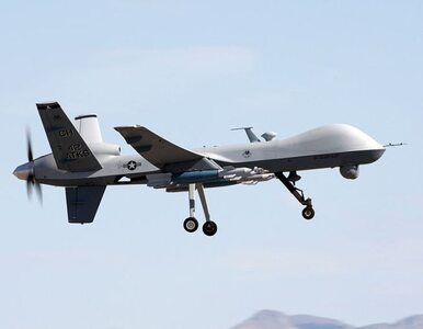 Miniatura: Iran przechwycił amerykańskiego drone'a?