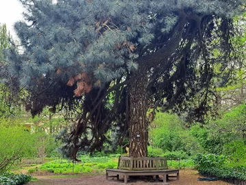 Ogród Botaniczny Uniwersytetu Warszawskiego w Warszawie 