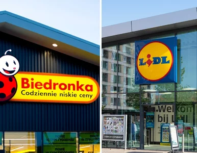 Miniatura: Za co Polacy kochają Lidla i Biedronkę?...