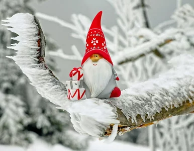 Miniatura: Szybki quiz mikołajkowy. Spróbuj zgarnąć...