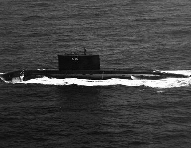 Miniatura: Wietnamski okręt podwodny na Bałtyku?