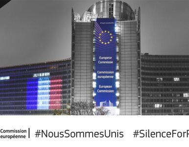 Miniatura: Europa uczci ofiary zamachów w Paryżu...