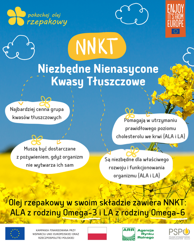 infografika_nnkt