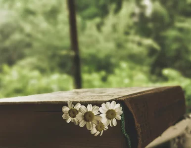 Miniatura: Quiz ortograficzny ze szkolnej ławki....