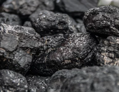 Miniatura: Niemcy odchodzą od węgla tylko na...