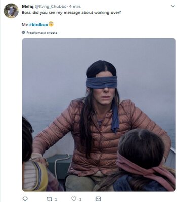 Miniatura: Memy dla widzów "Bird Box" ("Nie otwieraj...