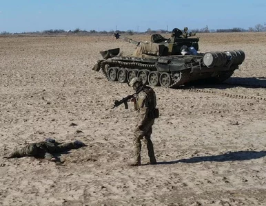 Miniatura: Dyrektor Szkoły Administracji Publicznej w...