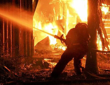 Miniatura: Dolny Śląsk: spłonęła fabryka podpałek