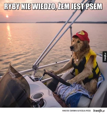 Mem o wędkarstwie Mem o wędkarstwie i rybach