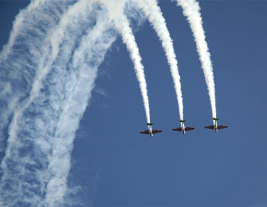 Miniatura: Tłumy w Radomiu na Air Show 2013