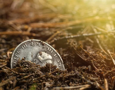 Miniatura: Odkrył skarb i milczał przez 8 lat. Gdy w...