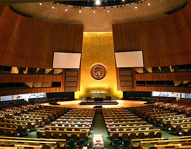Miniatura: Katarczyk na czele ZO ONZ