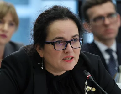 Miniatura: Ciąg dalszy burzy po wpisie posłanki...