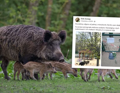 Miniatura: Plac zabaw zamienił się w śmiertelną...