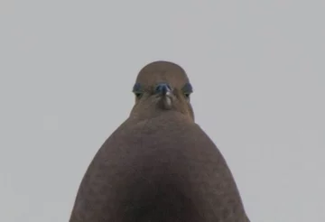 Znalazłeś się w złym sąsiedztwie, czy jakoś tak 