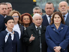 Miniatura: Tym partiom Polacy zarzucają największe...