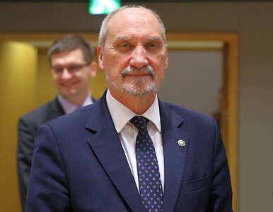 Miniatura: Macierewicz: Tusk i Kopacz okłamywali...