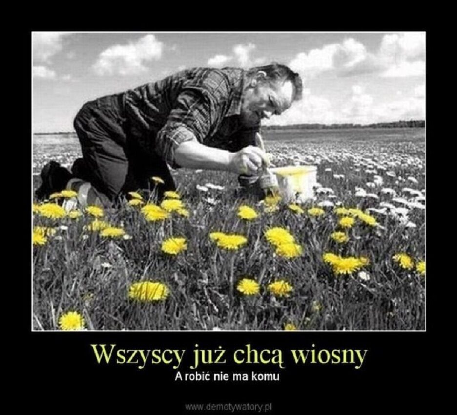 życzenia Z Okazji Pierwszego Dnia Wiosny Memy z okazji pierwszego dnia wiosny - galeria, zdjęcie 12