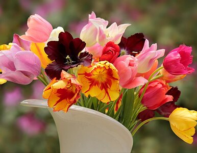 Miniatura: Tulipany w wazonie więdną za szybko? Oto...