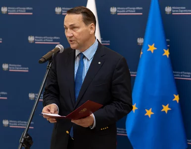 Miniatura: Tajemniczy wpis Sikorskiego. Internauci...
