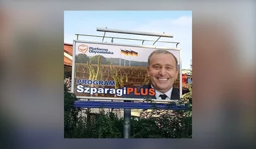 Mem po wyborach do PE 