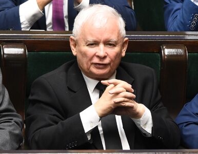 Miniatura: Jarosław Kaczyński, czyli Naczelnik...