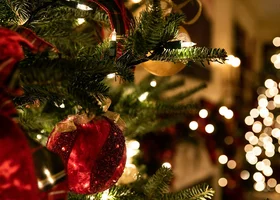 Miniatura: Świąteczny QUIZ z ortografii. Uważaj na...