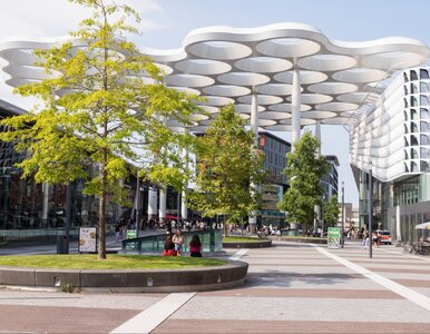 Miniatura: Jak budować nowe centra mocy