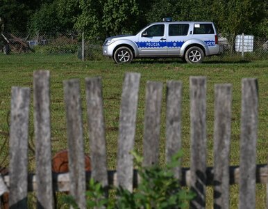 Miniatura: NA ŻYWO: Drony wtargnęły nad Polskę. Jeden...