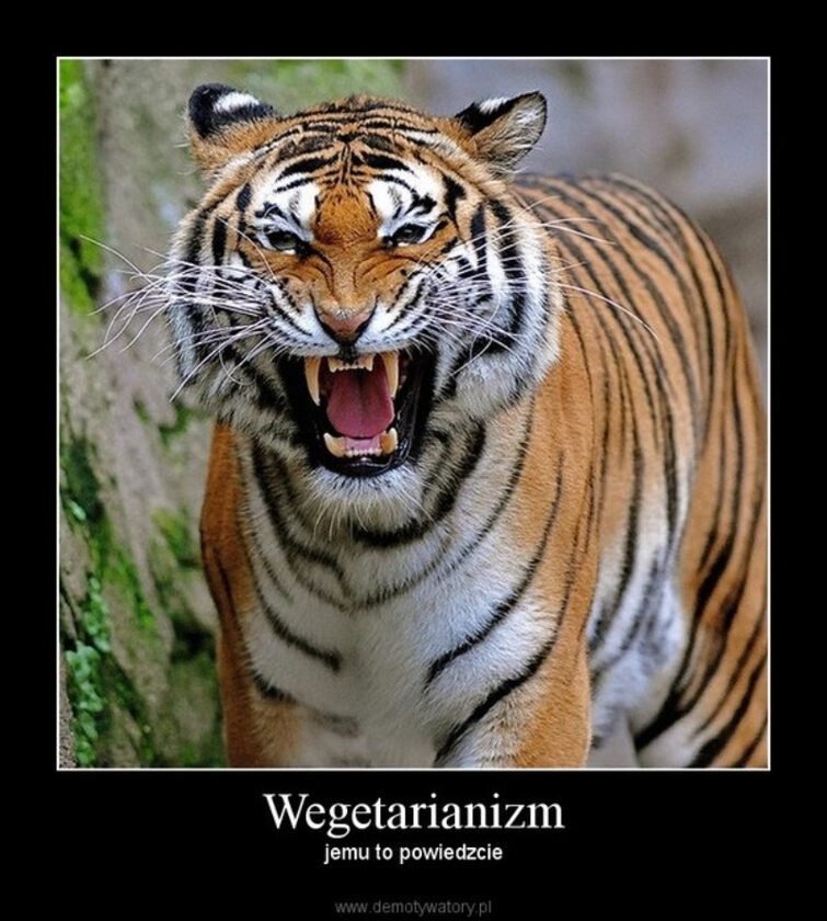 Memy związane z wegetarianizmem 