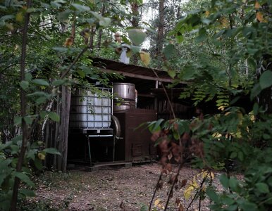 Miniatura: Tak działa bimbrowe zagłębie na Podlasiu....