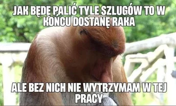 Smutny mem z nosaczem 