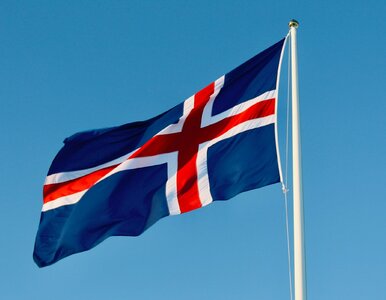 Miniatura: QUIZ. Flagi państw znasz jak własną...