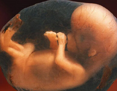 Miniatura: Za i przeciw aborcji