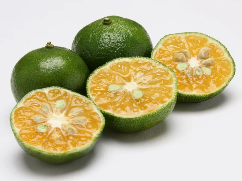 Miniatura: Jedzą go stulatkowie z Okinawy. Ten...