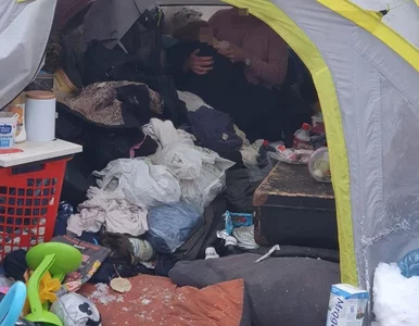 Miniatura: Mieszkała z 2-letnią córeczką w lesie....