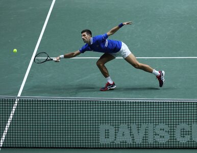 Miniatura: Novak Djoković wycofuje się z ATP Cup....
