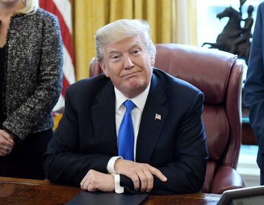 Miniatura: Trump miał nazwać te kraje „zadupiem”....