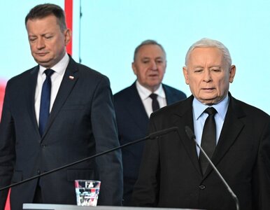 Miniatura: Wielki plan PiS miał porwać Polaków. Dziś...
