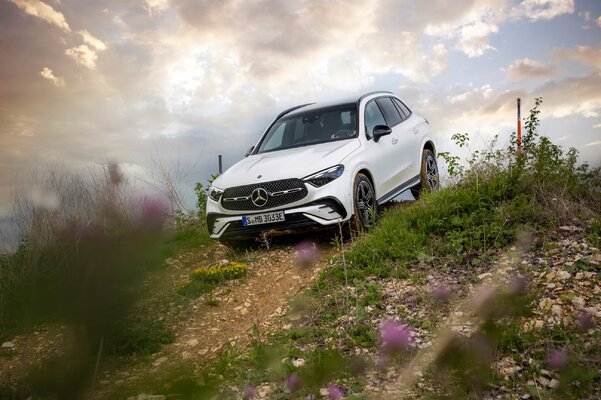Miniatura: Mercedes-Benz GLC