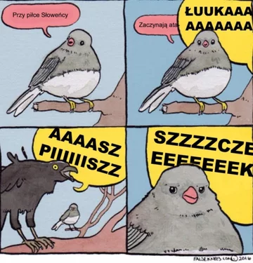 Mem po meczu Polski ze Słowenią 