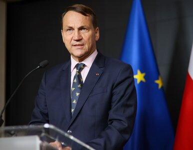 Miniatura: Naruszenie polskiej przestrzeni...