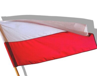 Miniatura: Czechy: polskie flagi opuszczone do połowy...