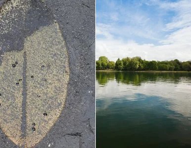 Miniatura: Fascynująca historia sprzed 15 milionów...