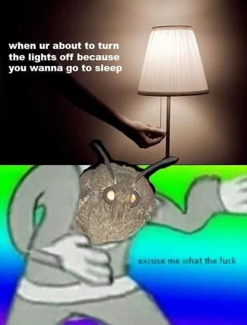 Mem z ćmą 