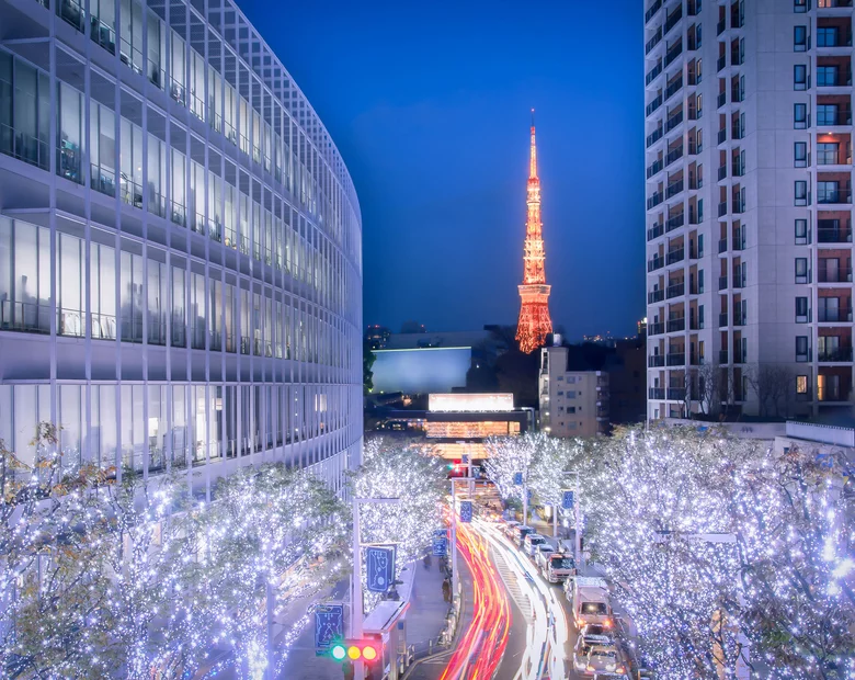 Miniatura: Kurczaki w panierce czyli święta po japońsku