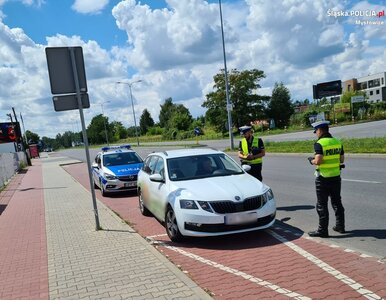 Miniatura: Te manewry są skuteczne podczas wyścigu. W...