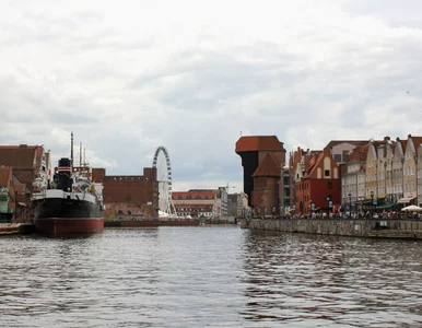 Miniatura: Popularna atrakcja po 7 latach znika z...