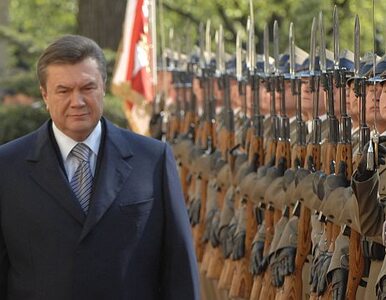 Miniatura: Moskwa poczeka, Janukowycz najpierw w...